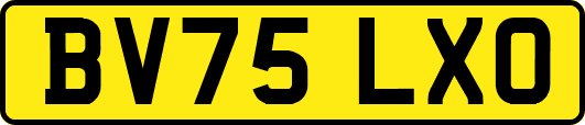 BV75LXO