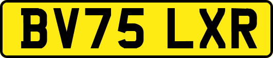 BV75LXR