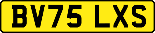 BV75LXS