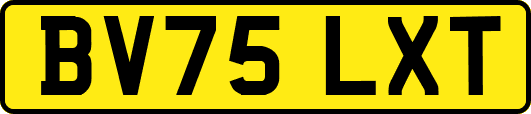 BV75LXT