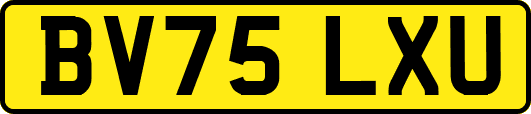 BV75LXU