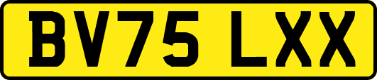 BV75LXX