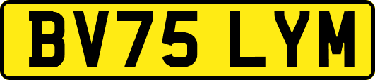 BV75LYM