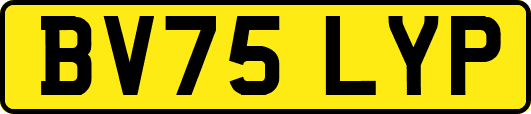 BV75LYP