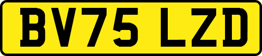 BV75LZD