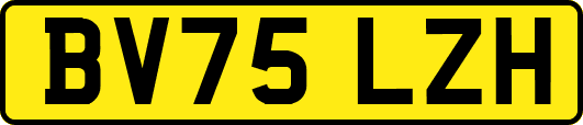 BV75LZH