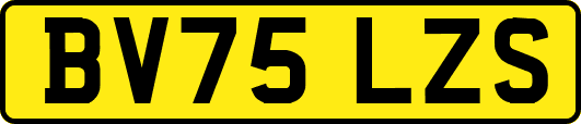 BV75LZS