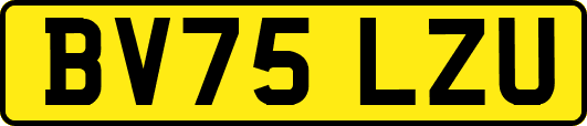 BV75LZU