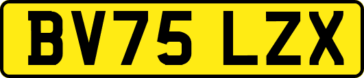 BV75LZX