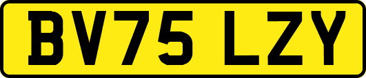 BV75LZY