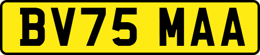BV75MAA