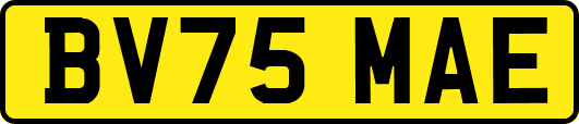 BV75MAE