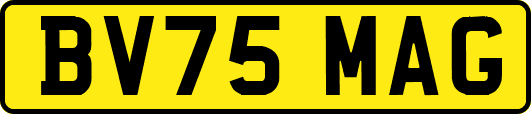 BV75MAG