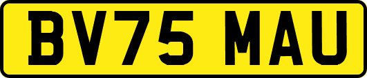 BV75MAU