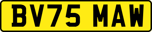 BV75MAW