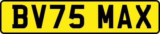 BV75MAX