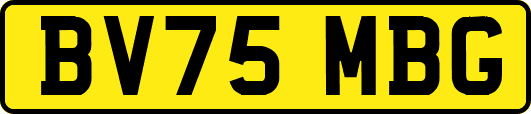 BV75MBG
