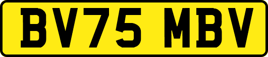 BV75MBV