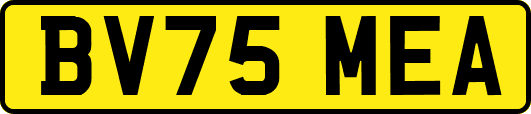BV75MEA