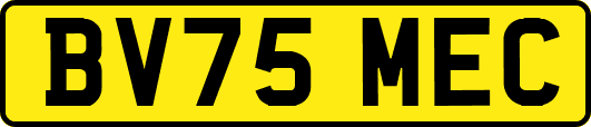 BV75MEC