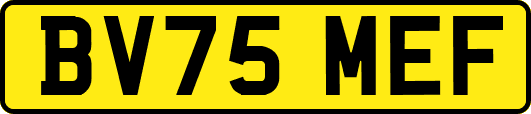 BV75MEF