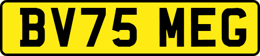 BV75MEG