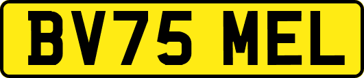 BV75MEL