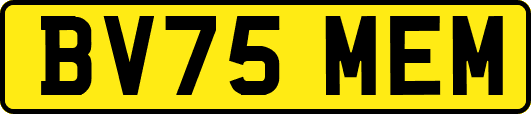 BV75MEM