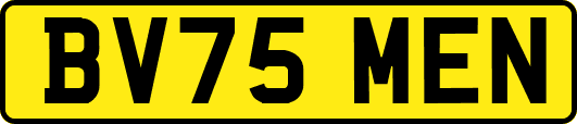 BV75MEN