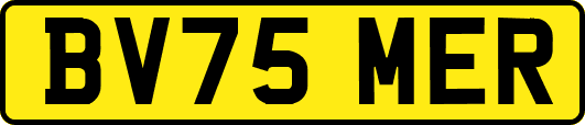 BV75MER