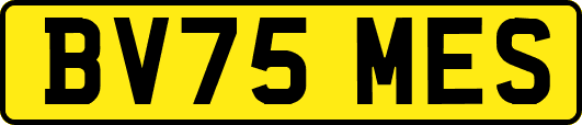 BV75MES