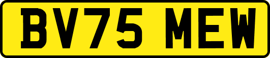 BV75MEW