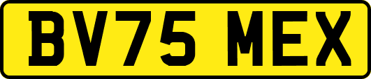 BV75MEX