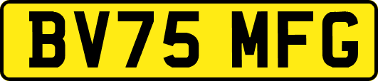 BV75MFG