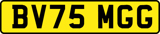 BV75MGG