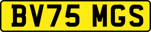 BV75MGS