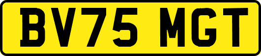 BV75MGT