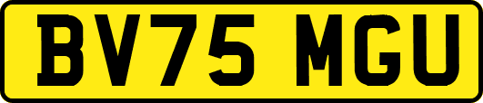 BV75MGU