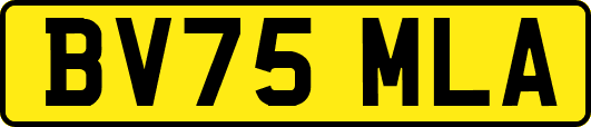 BV75MLA