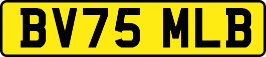 BV75MLB