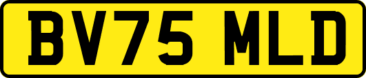 BV75MLD