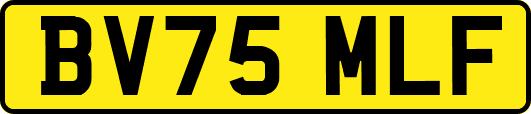 BV75MLF