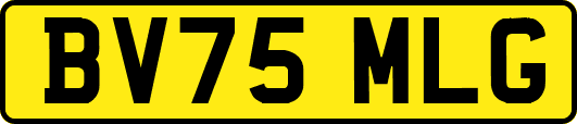 BV75MLG