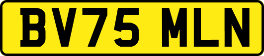 BV75MLN