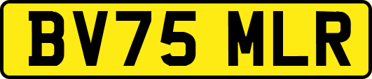BV75MLR