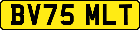 BV75MLT