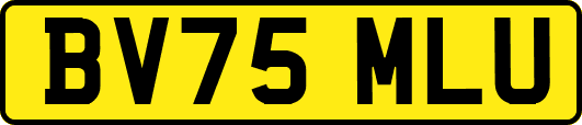 BV75MLU