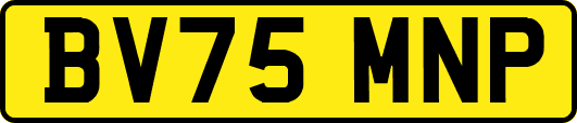 BV75MNP