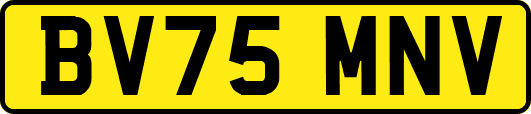 BV75MNV