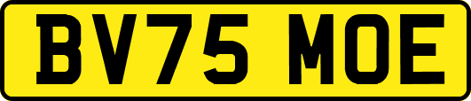 BV75MOE